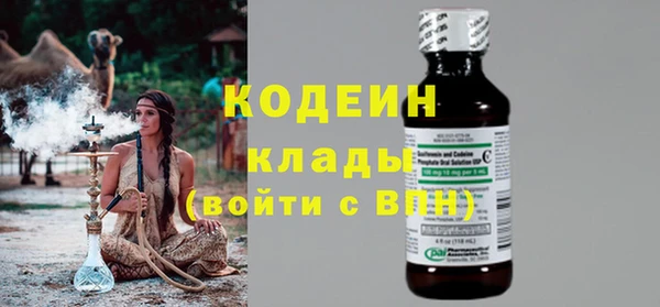 ГАЛЛЮЦИНОГЕННЫЕ ГРИБЫ Богданович