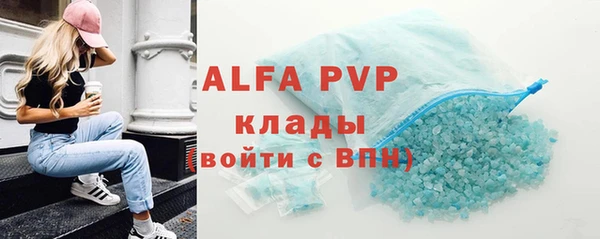 ГАЛЛЮЦИНОГЕННЫЕ ГРИБЫ Богданович