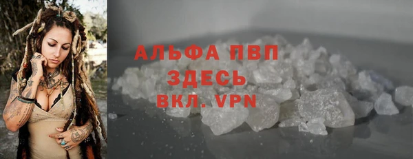 ГАЛЛЮЦИНОГЕННЫЕ ГРИБЫ Богданович