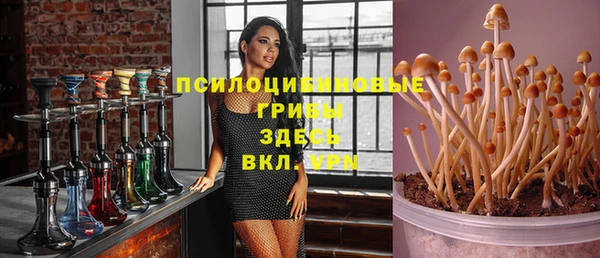 марки lsd Богородицк