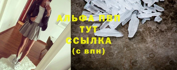 ГАЛЛЮЦИНОГЕННЫЕ ГРИБЫ Богданович