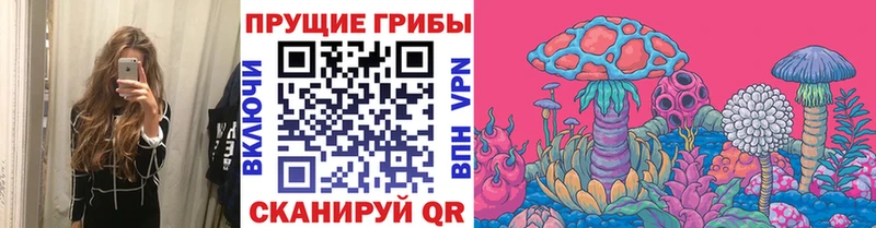 купить  сайты  Богородицк  Псилоцибиновые грибы GOLDEN TEACHER 