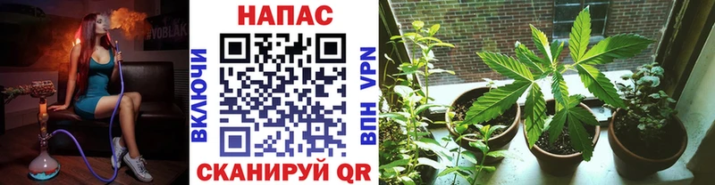 МАРИХУАНА марихуана  Богородицк 